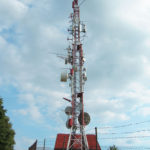 svetanedelja3