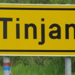 tinjan1