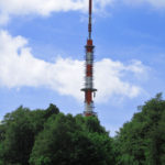 trdinovvrh5