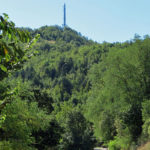 urbino3