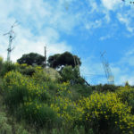 ventimiglia8