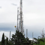veronat1