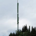 veronat7
