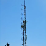 viapediano3